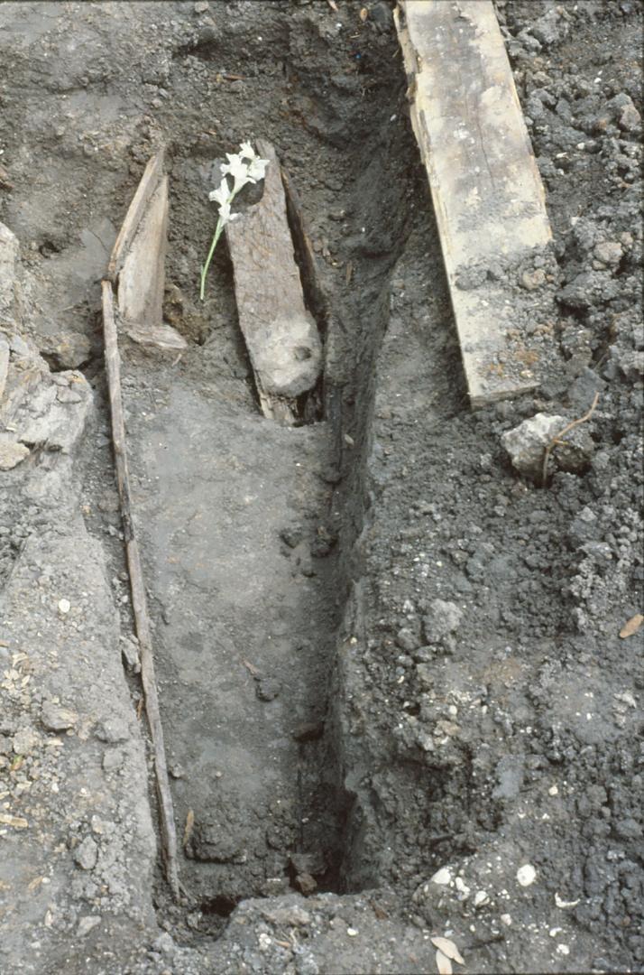 A photograph of a hexagonal coffin, emptied and without a lid. A white flower is inside the coffin where the head of a person once was.
